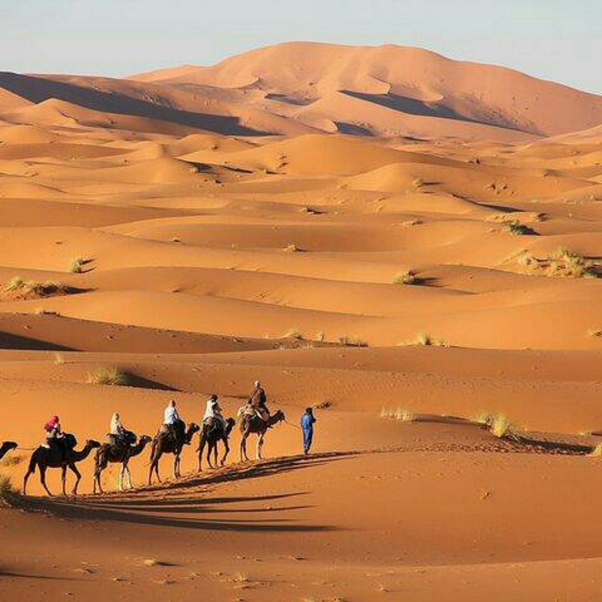 Best Desert Luxury Camp 梅尔祖卡 外观 照片